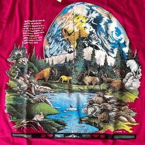 Vintage 1991 RagTops Indigenous Trippy
Nature Chief Seattle New Mexico T Shirt